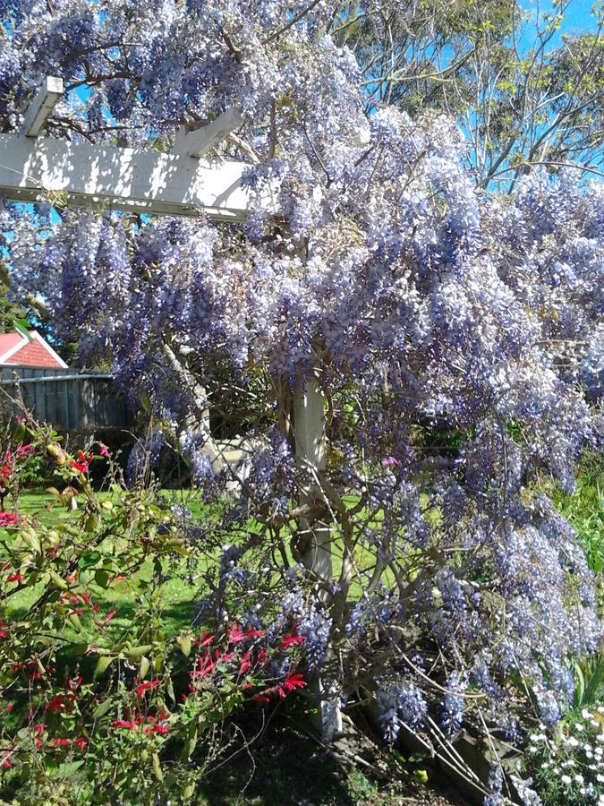 The Old Post Office Guesthouse B&B Paparoa Exterior photo